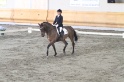 02 - KUR E
